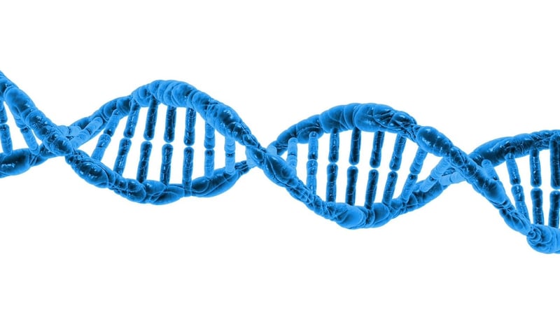 Genetic Counselor